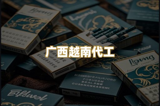 广西越南代工